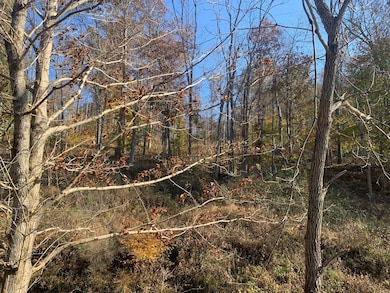 12166 Ohio 93, Logan, OH 43138 - photo 3