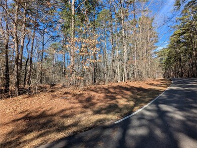 2 Pine Garden Cir, Salem, SC 29676 - photo 4