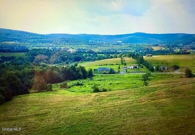 177 Myers Rd, Howes Cave, NY 12092 - photo 5