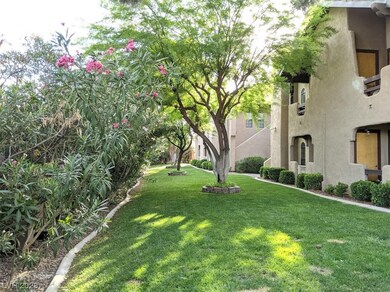 Side Yard