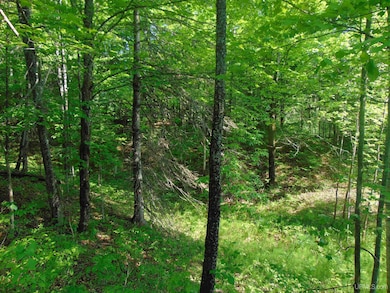 TBD 1 Alston Rd, Laird Township, MI 49958 - photo 6