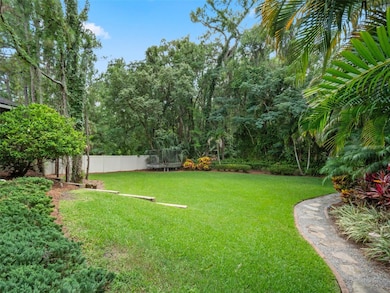 Lush Back Yard