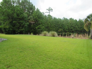 Gorgeous backyard