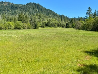 IMG_3836