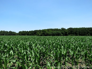 TBD N Carolina 71, Red Springs, NC 28377 - photo 6