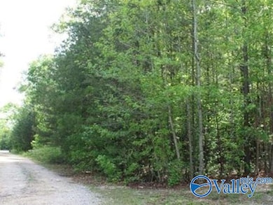 Lot 3 Hickory Ln, Hammondville, AL 35989 - photo 2