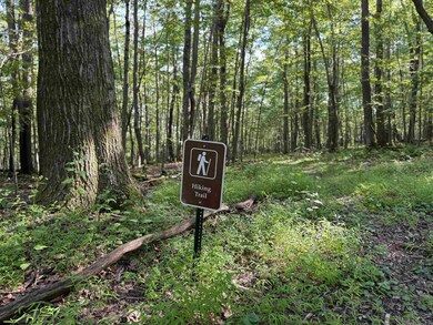 Lots 41 and 42 Daylily Ct, Terra Alta, WV 26764 - photo 2