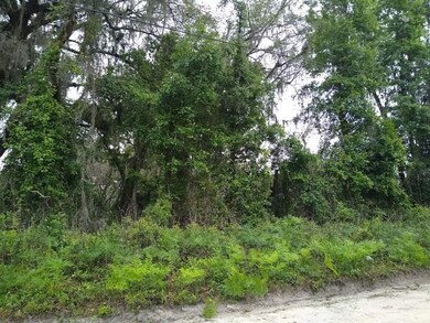 0 SE County Road 349, Lake City, FL 32025 - photo 7