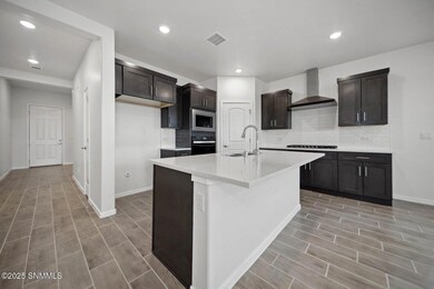 6047 Tin Hill St, Sunland Park, NM 88008 - photo 5