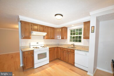 8304 Old Tree Ct, Springfield, VA 22153 - photo 7