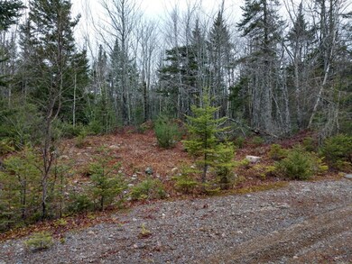 IMG_20191120_141539631_HDR