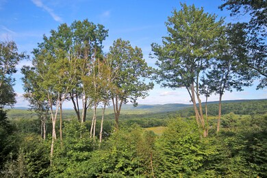 VIEW OF THE BERKSHIRE HILLS