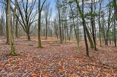 308 Shady Glen Rd, East Durham, NY 12423 - photo 7