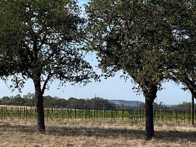 00 Pfiester Rd, Fredericksburg, TX 78624 - photo 7