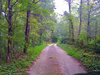 325 Sinks Rd, Somerset, KY 42501 - photo 6