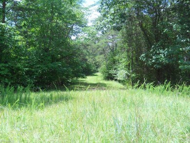 Great place for four wheeling or riding horses.