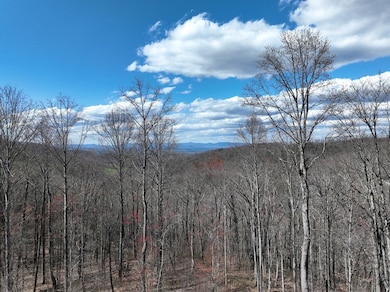 270R Stone Cliff Dr, Ellijay, GA 30536 - photo 4