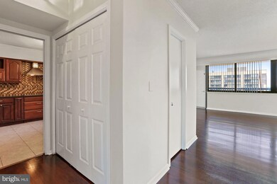 5501 Seminary Rd unit 2404S, Baileys Crossroads, VA 22041 - photo 7