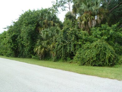 View of Lot from North East Corner