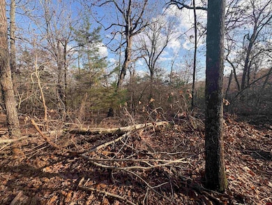 001-03671-002 Arkansas 101, Gamaliel, AR 72537 - photo 3