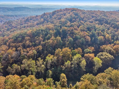 06-DJI_20251105103555_0780_D