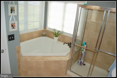 42024 Angel Arch Terrace, Stone Ridge, VA 20105 - photo 7