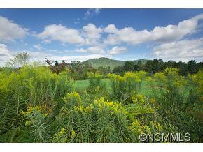 Neighboring Homesite