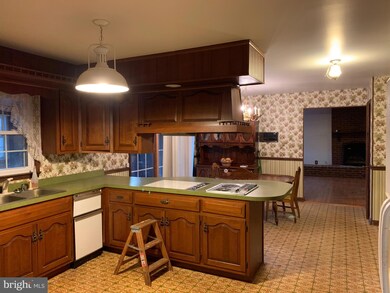 5287 Pond Mountain Rd, Broad Run, VA 20137 - photo 4