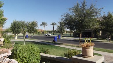 View from the Front Yard