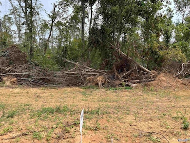 21394 Holland Rd, Athens, AL 35614 - photo 2