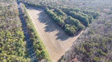 0 New Jersey 347, Dorchester, NJ 08316 - photo 6