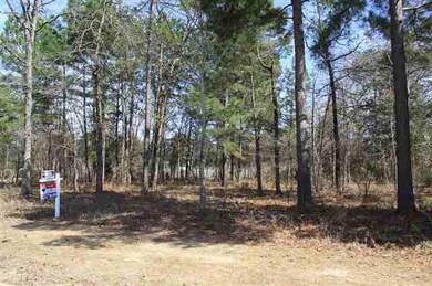 3045 Stonegate Blvd, Tyler, TX 75703 - photo 3