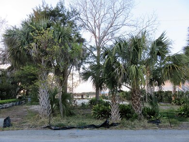 IMG_3639 (2)