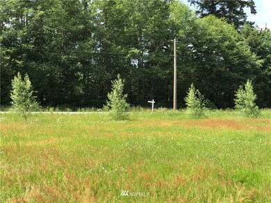 unlisted-address, Orting, WA 98360 - photo 5