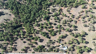 TBD Copeland Hill Rd, Smithville, TX 78957 - photo 3