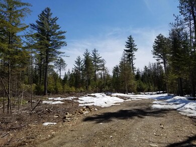 Cleared Part of Lot