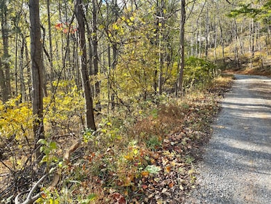 0 Hickory Falls Rd unit 361693, Blue Ridge, VA 24064 - photo 3