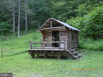 705 Leisure Acres Rd, Wardensville, WV 26851 - photo 6