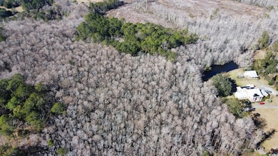 3143 S Island Rd, Georgetown, SC 29440 - photo 2