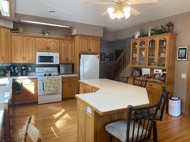 313 Alex Moore St, Sauk Centre, MN 56378 - photo 5