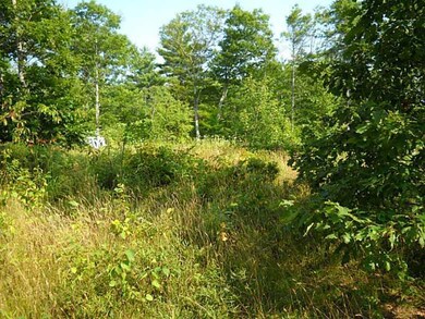 Land/Lot.