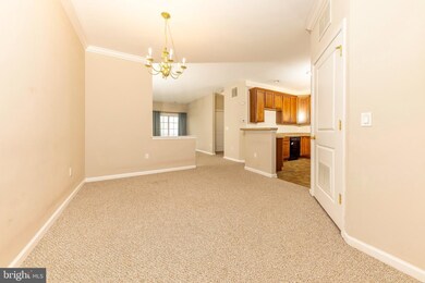 106 Raphael Ct unit 106, Williamstown, NJ 08094 - photo 5