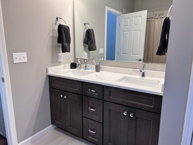 Master Bath Vanity