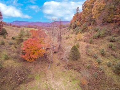 0 Duncan Rd, Jacks Creek, NC 28714 - photo 4