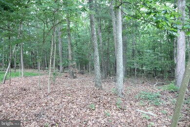 Lot 54 Warden Circle Rd, Capon, WV 26851 - photo 6