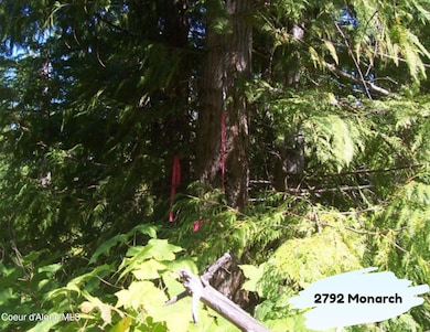 2792 Monarch Rd, St. Maries, ID 83861 - photo 7