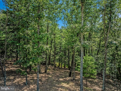 7 Miller Ln, Berkeley Springs, WV 25411 - photo 6