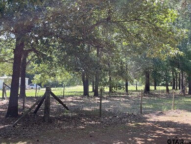 15601 Wood Ln, Tyler, TX 75707 - photo 6