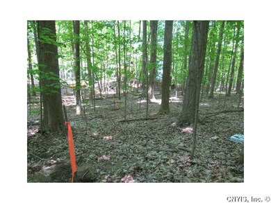 Land/Lot. These are the perc holes.
