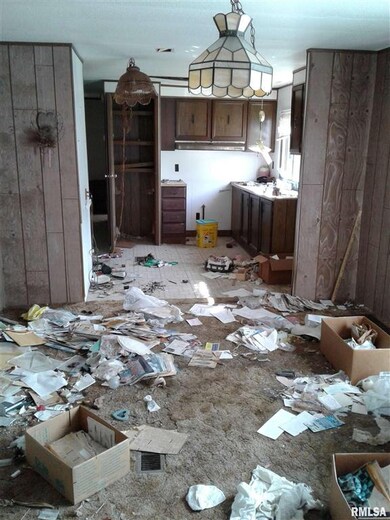 249 S Pitt St, Virginia, IL 62691 - photo 7